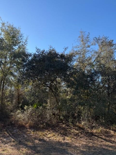 Tbd Southwest 158th St Road Ocala, FL 34473 - Photo 3 of 4
