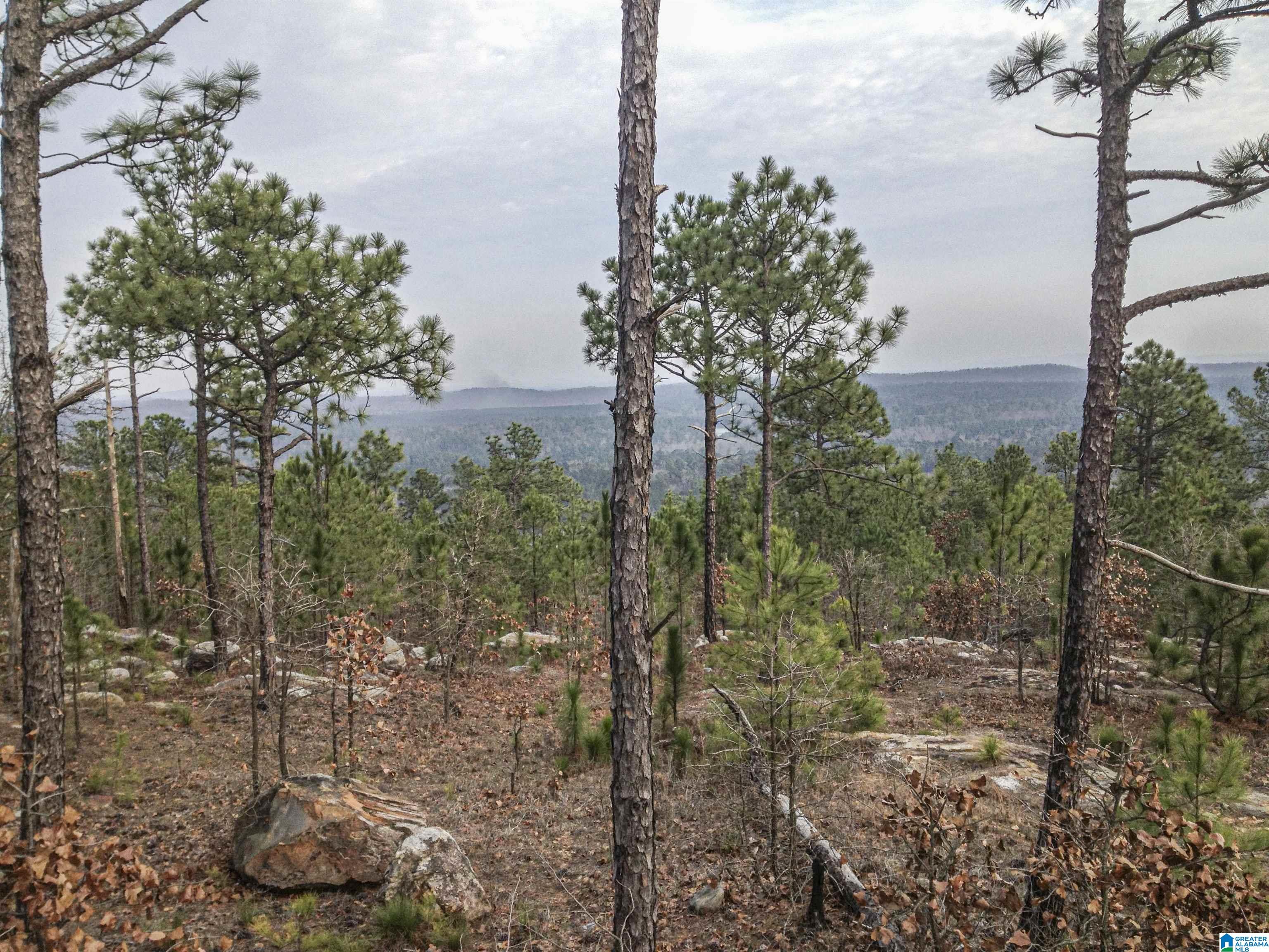 16005 Highway 55 Sterrett Al, Unit 53 AC / Sterrett, AL 35147 - Photo 8 of 9