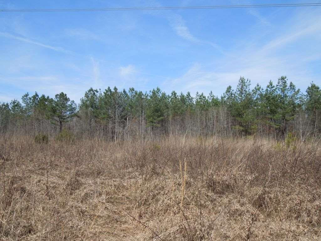 87 Highway 87 Graham, NC 27253 - Photo 7 of 10 Photo 7