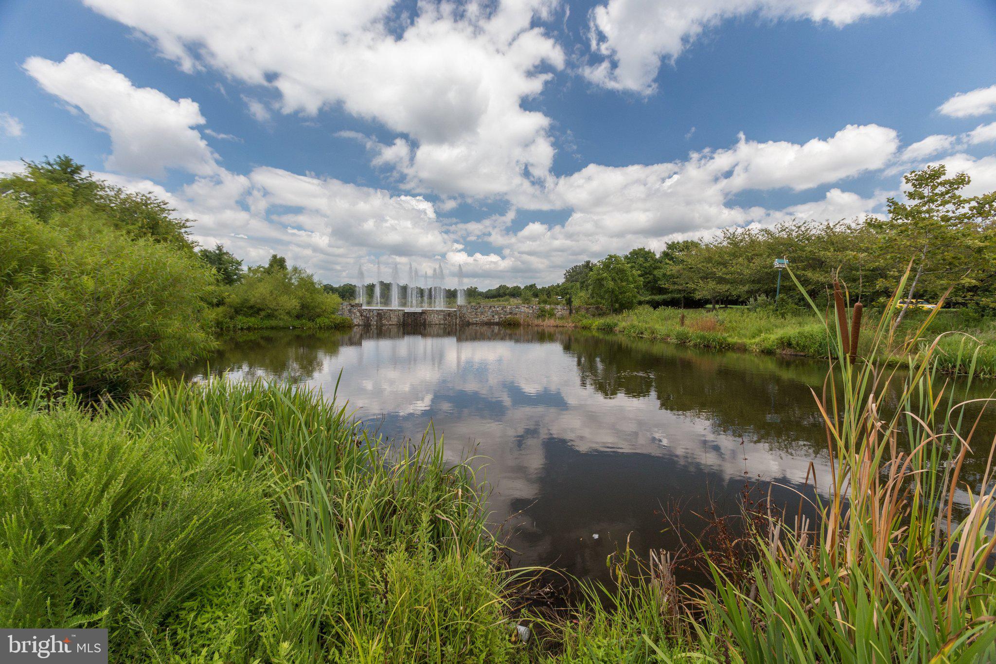 25121 Monteith Terrace Chantilly, VA 20152 - Photo 49 of 54 Community Pond