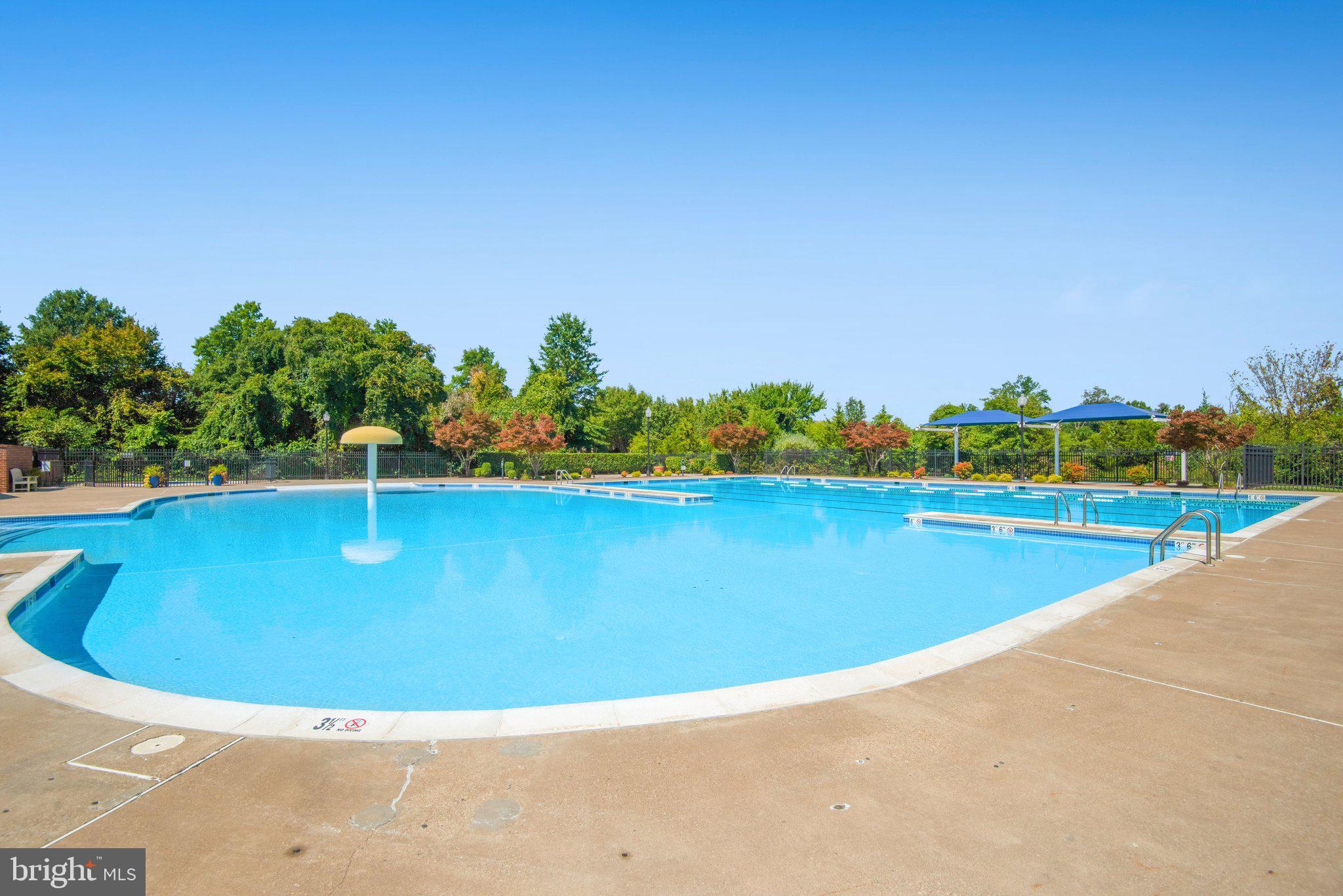 25121 Monteith Terrace Chantilly, VA 20152 - Photo 50 of 54 Community Pool