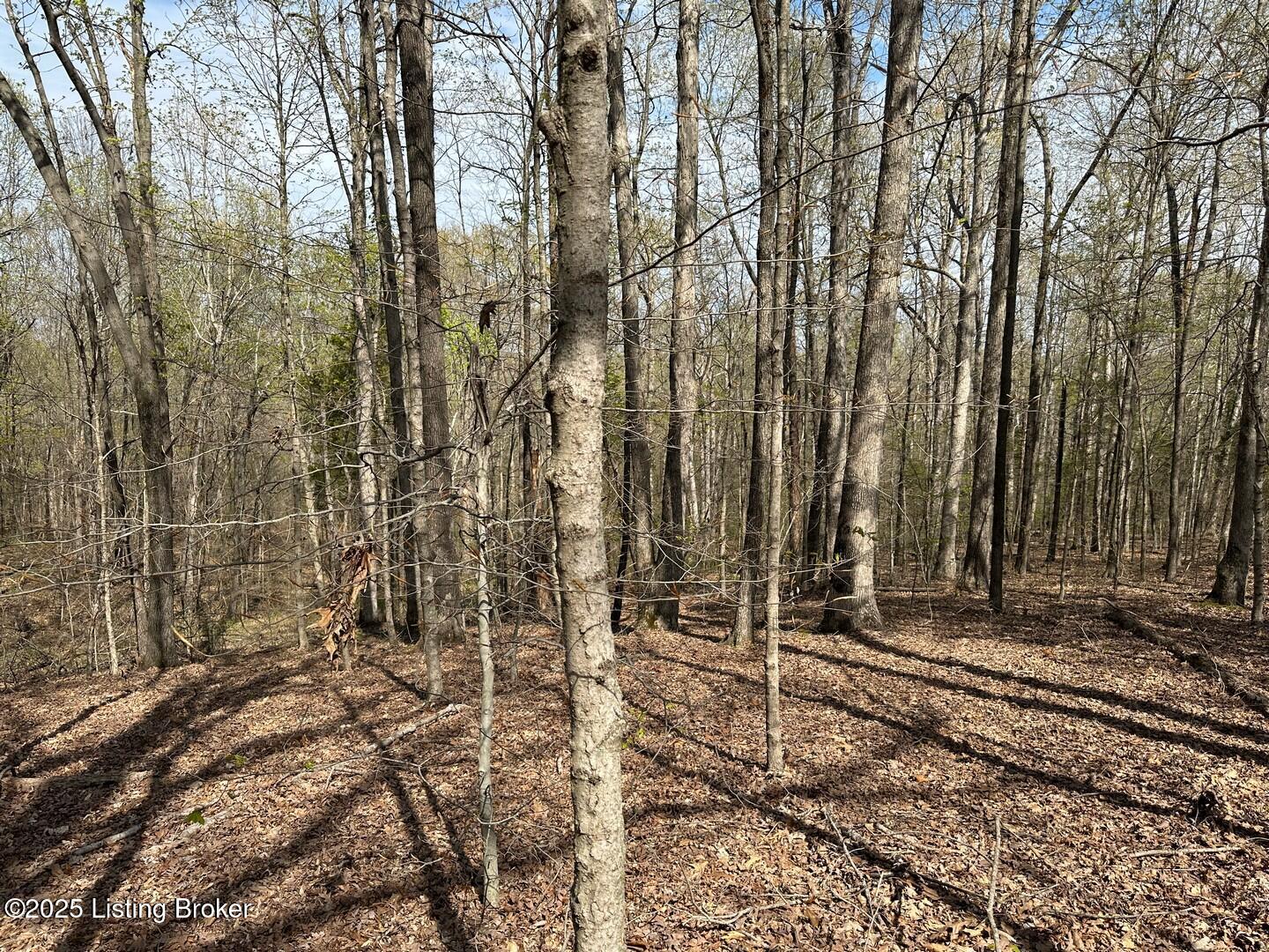 0 Vic Young Road Olaton, KY 42361 - Photo 21 of 40 0 Vic Young Rd18