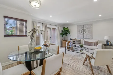 a living room with furniture and potted plants