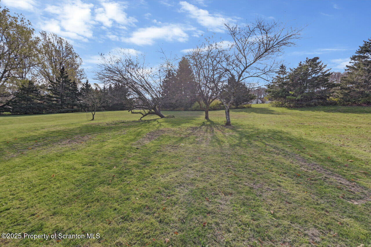 446 Maple Grove Road Moscow, PA 18444 - Photo 3 of 51 a view of a field with trees