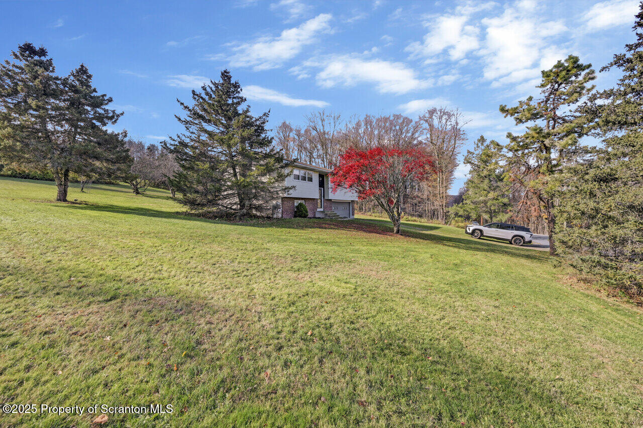446 Maple Grove Road Moscow, PA 18444 - Photo 6 of 51 a view of a playground with basketball court