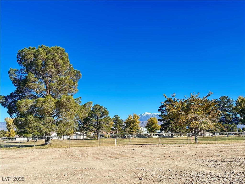 3141 Burning Tree Court Pahrump, NV 89048 - Photo 61 of 61