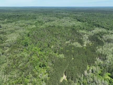 13 West 13 Mile Road, Unit PAR A Bitely, MI 49309 - Photo 13 of 15