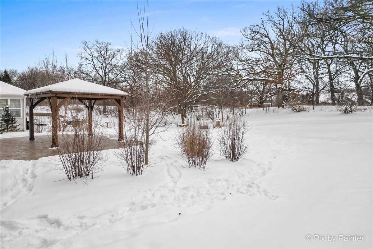 488 Newcastle Drive Cary, IL 60013 - Photo 33 of 33 a view of a yard with snow on the road