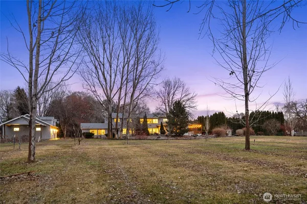 a view of road with trees