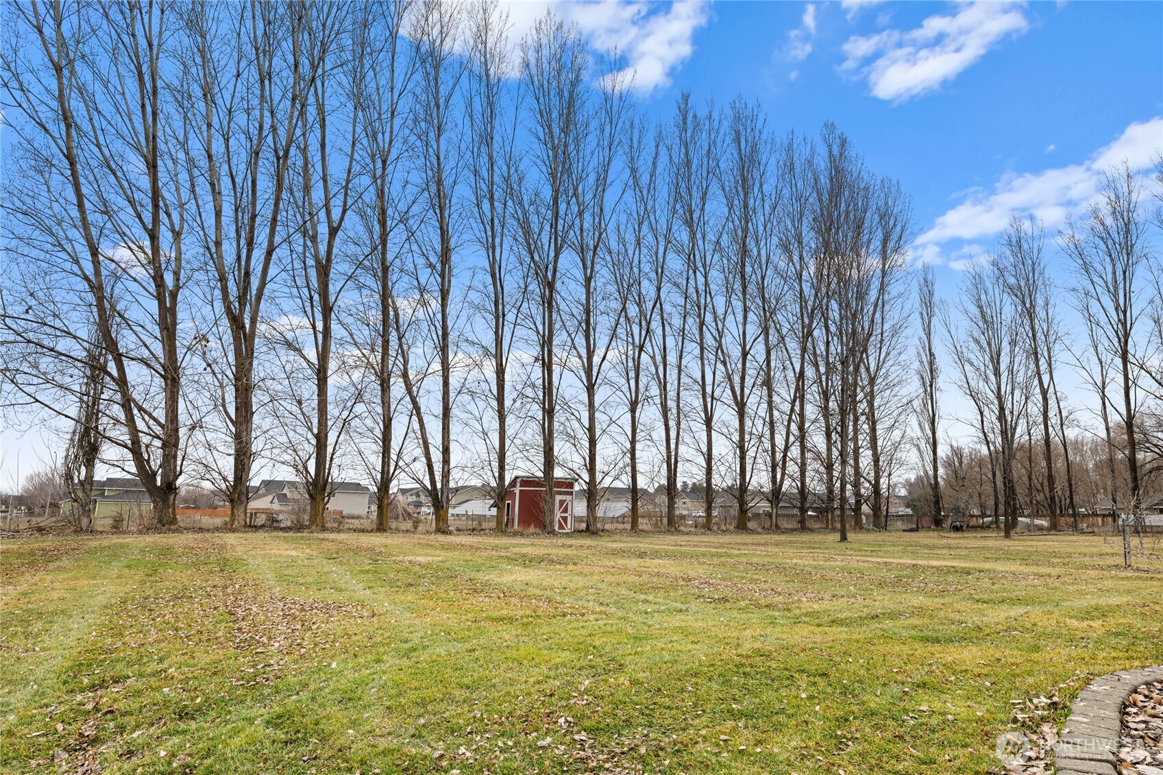 709 South Matthews Road Ellensburg, WA 98926 - Photo 37 of 40 a view of outdoor space with lots of trees
