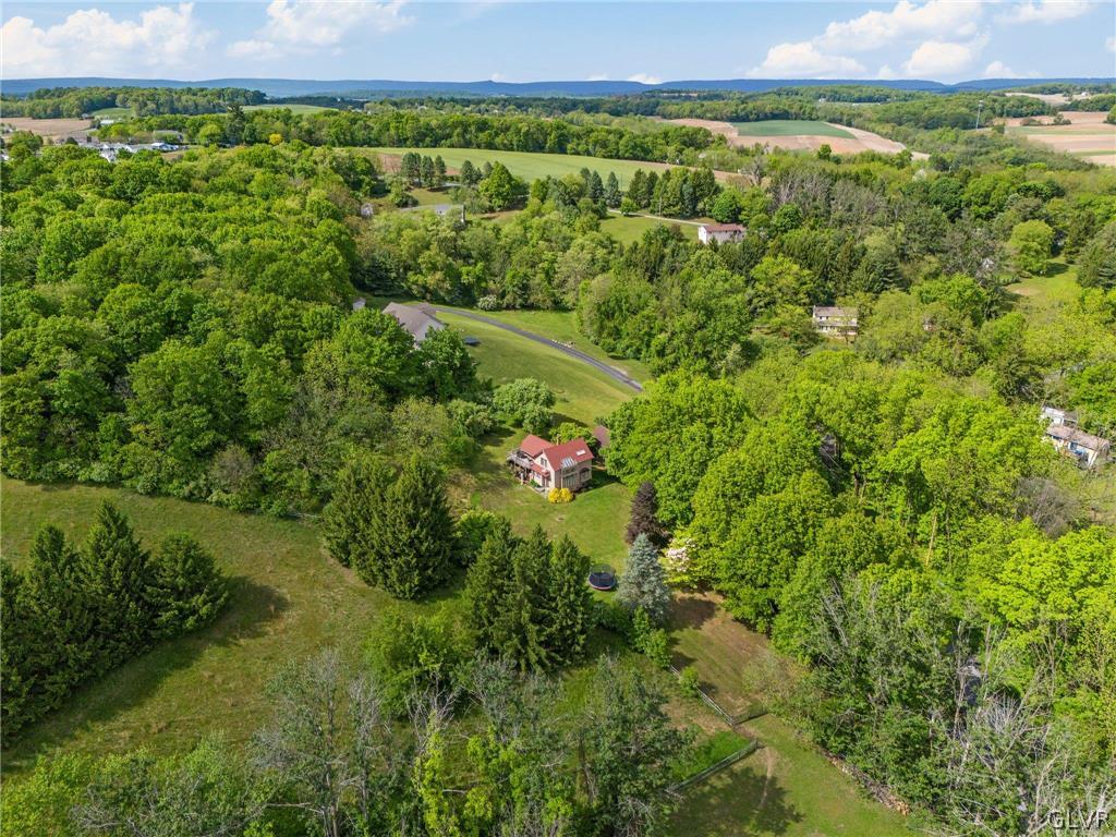 9325 Danner Road New Tripoli, PA 18066 - Photo 46 of 50 a view of a lush green forest with a lush green forest