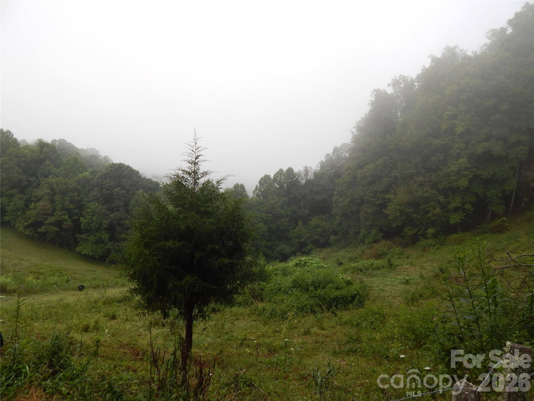 0 Henry Road Sylva, NC 28779 - Photo 24 of 25 Gallery Image 24