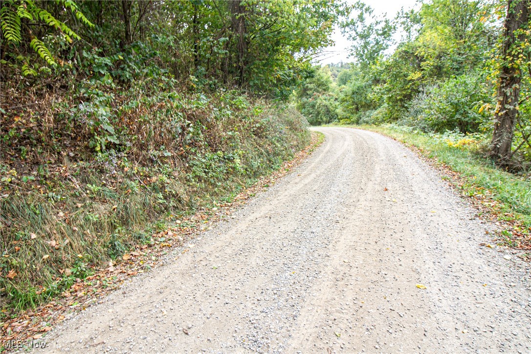 0 Douglas Road Quaker City, OH 43773 - Photo 7 of 27 View of road