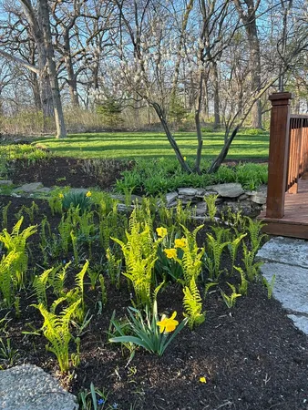 a view of a garden with a bench