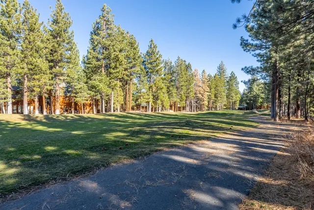 a view of a forest with mountains in the background