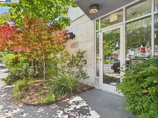a backyard of a house with large trees and plants