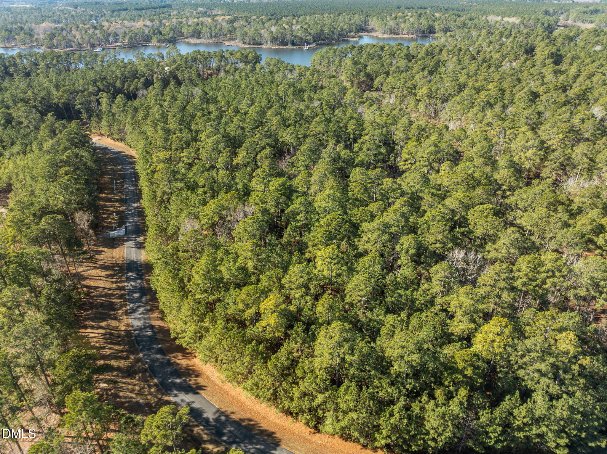 0 Bailey Pointe Road Belhaven, NC 27810 - Photo 12 of 15 a view of a yard with plants and large trees