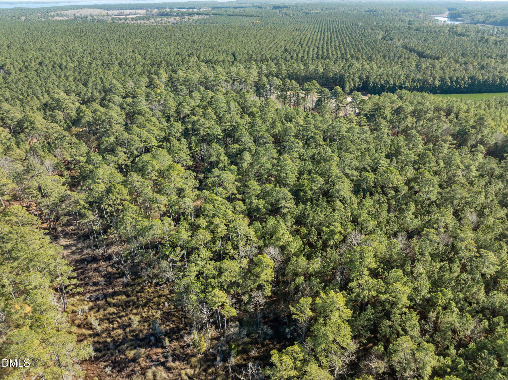 0 Bailey Pointe Road Belhaven, NC 27810 - Photo 13 of 15 a view of a field of grass and trees