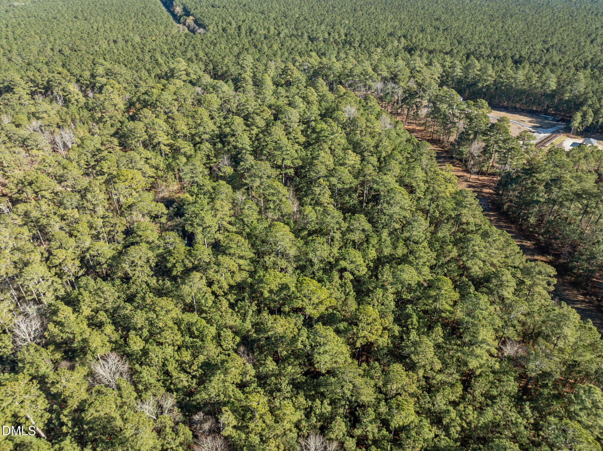 0 Bailey Pointe Road Belhaven, NC 27810 - Photo 14 of 15 a view of a large yard with lots of green space