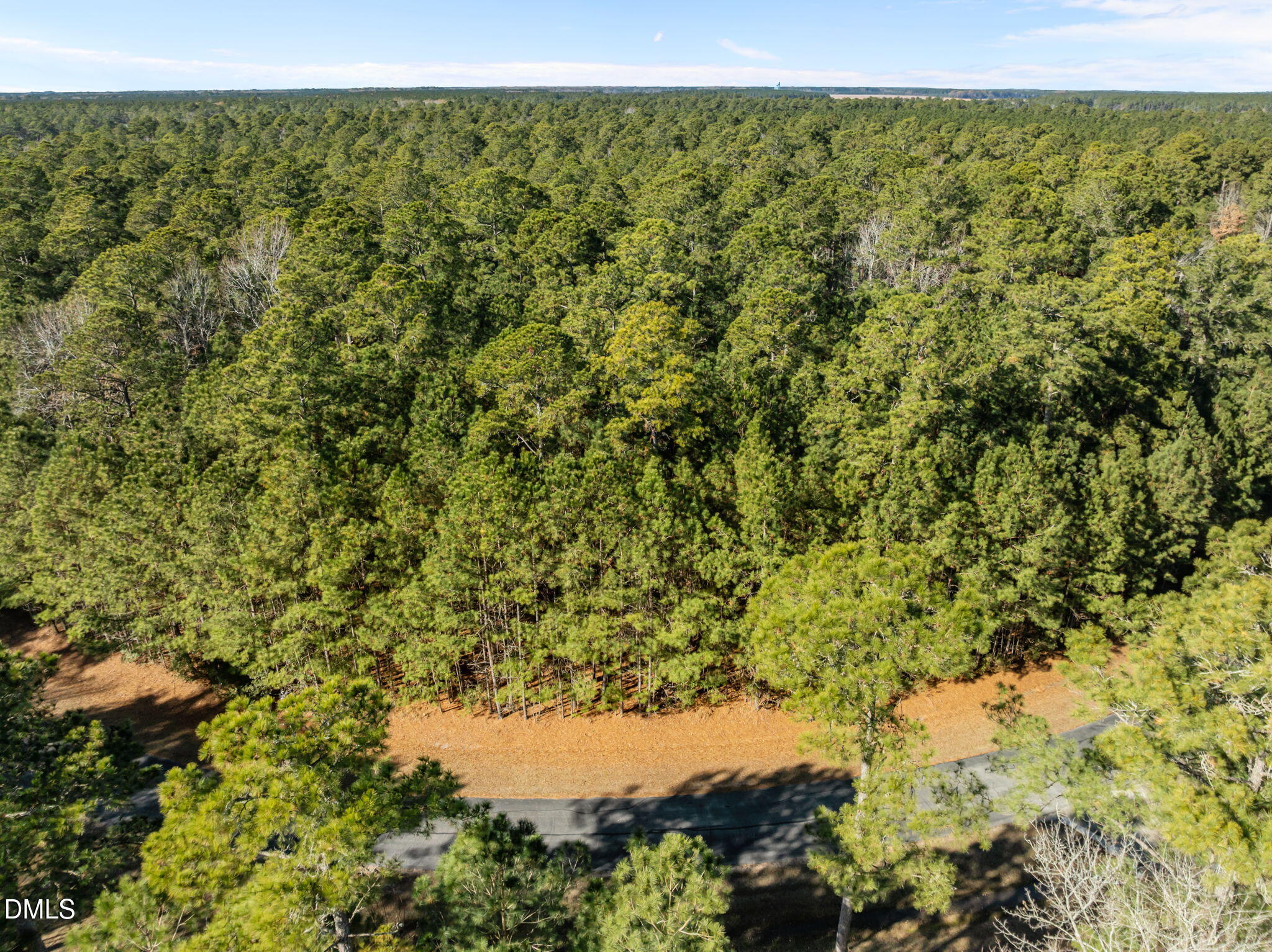 0 Bailey Pointe Road Belhaven, NC 27810 - Photo 15 of 15 a view of a forest with a tree