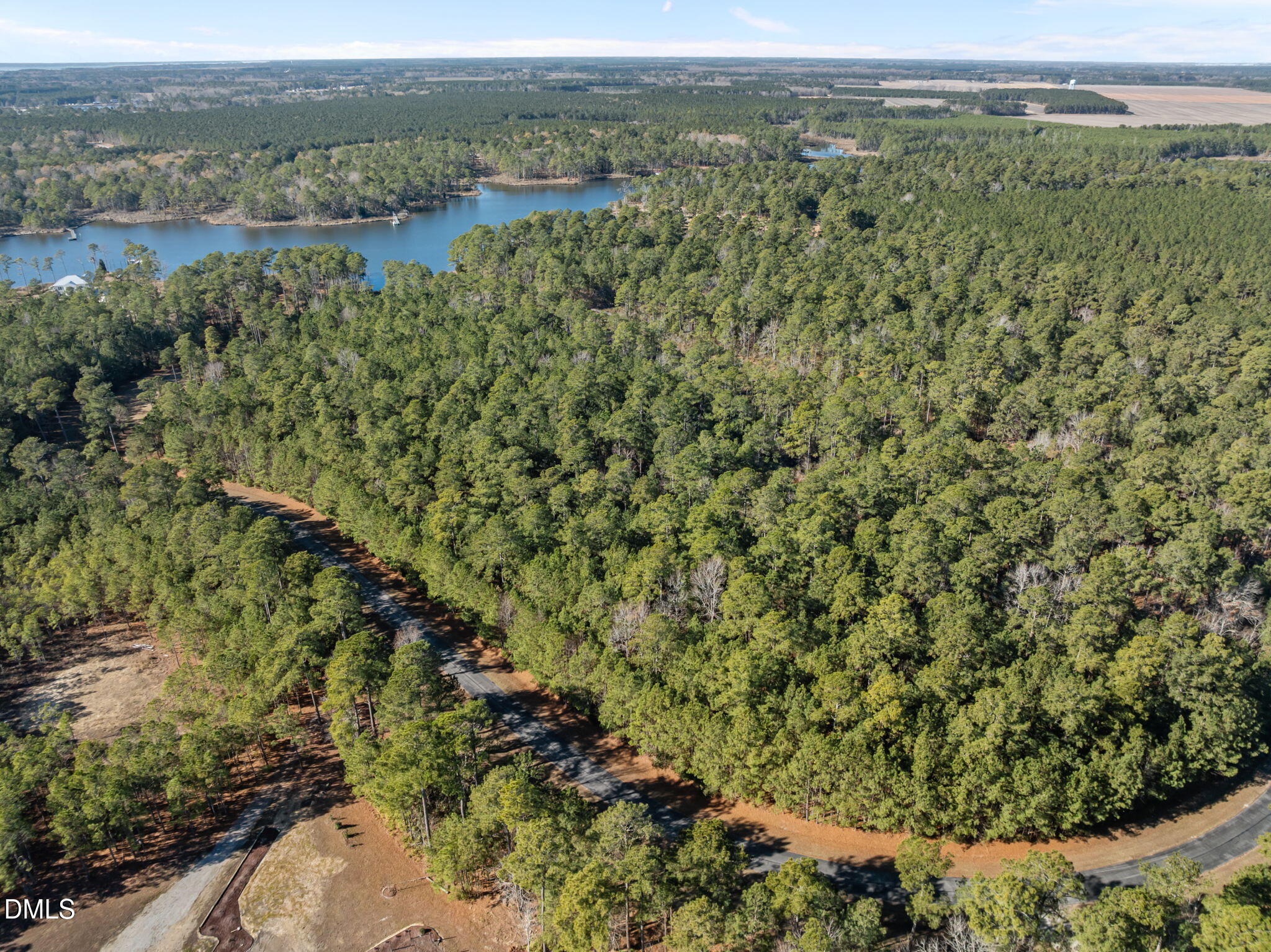 0 Bailey Pointe Road Belhaven, NC 27810 - Photo 2 of 15 an aerial view of forest