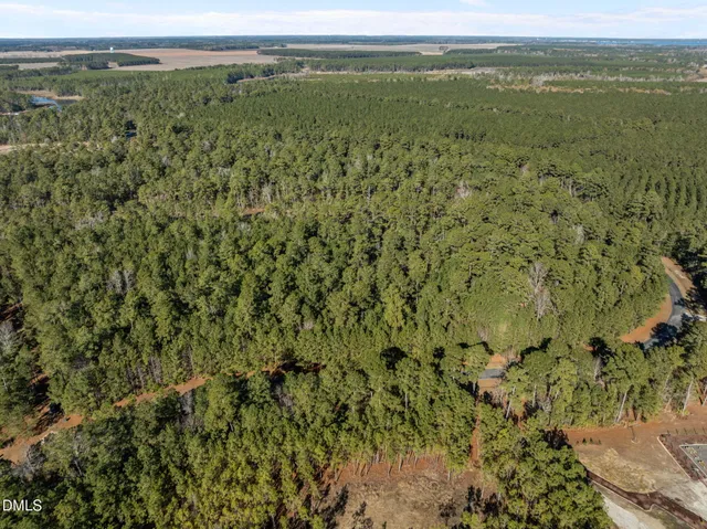 a view of a green field with lawn chairs