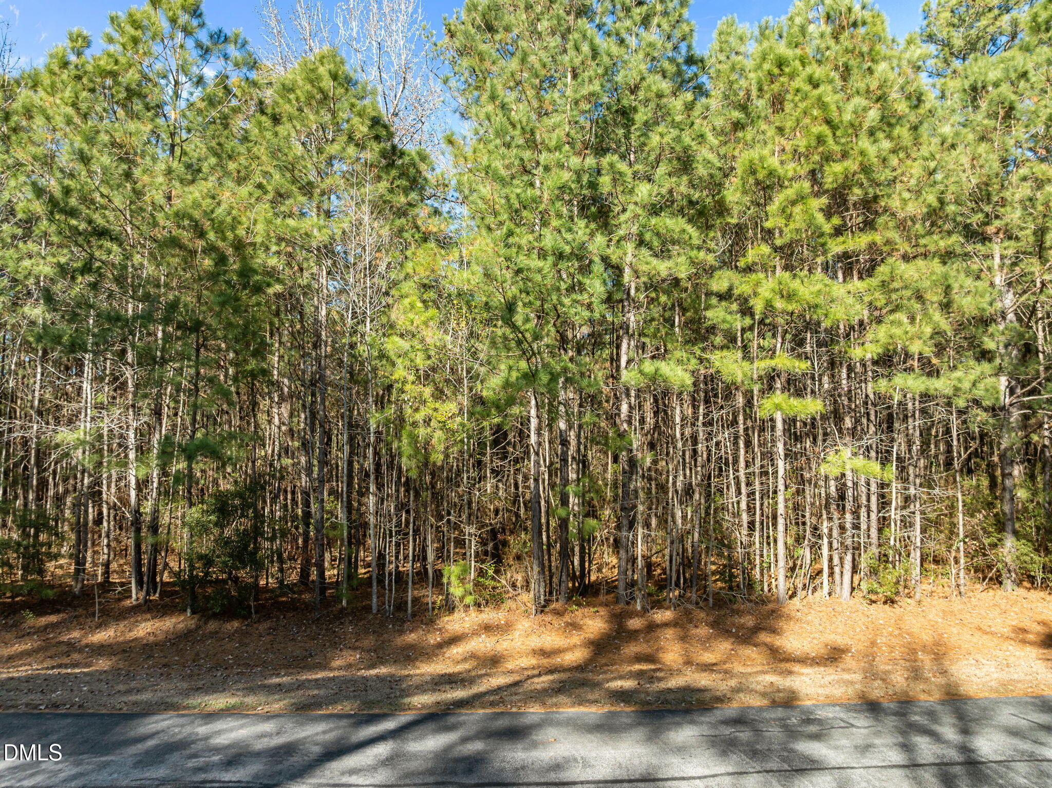 0 Bailey Pointe Road Belhaven, NC 27810 - Photo 4 of 15 a view of a yard with large trees