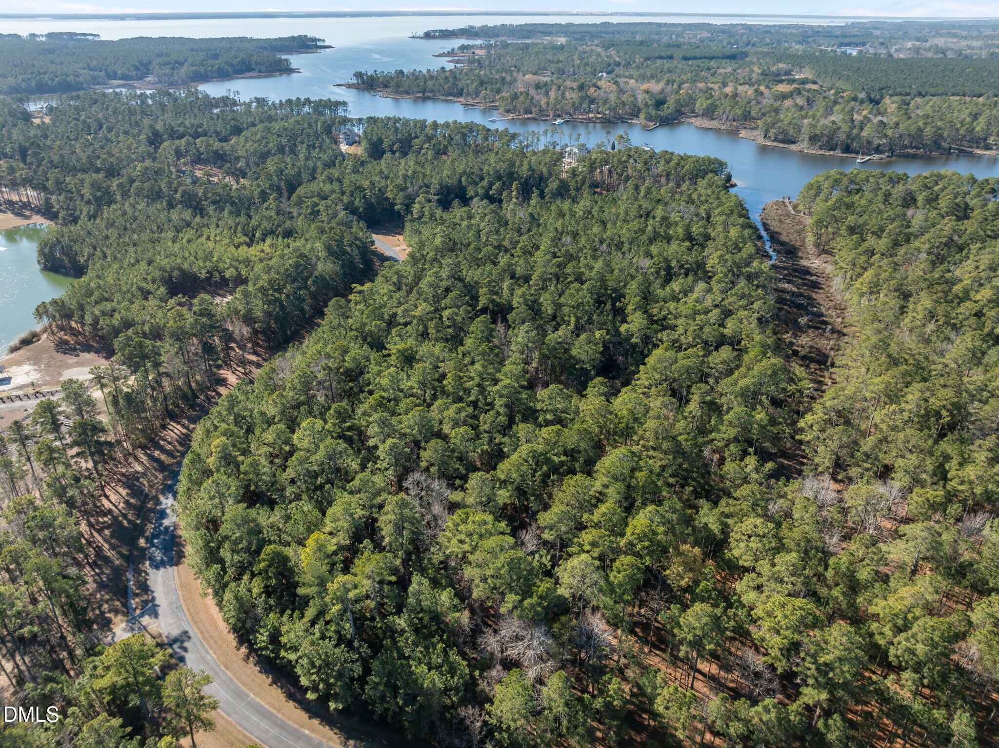 0 Bailey Pointe Road Belhaven, NC 27810 - Photo 5 of 15 an aerial view of forest
