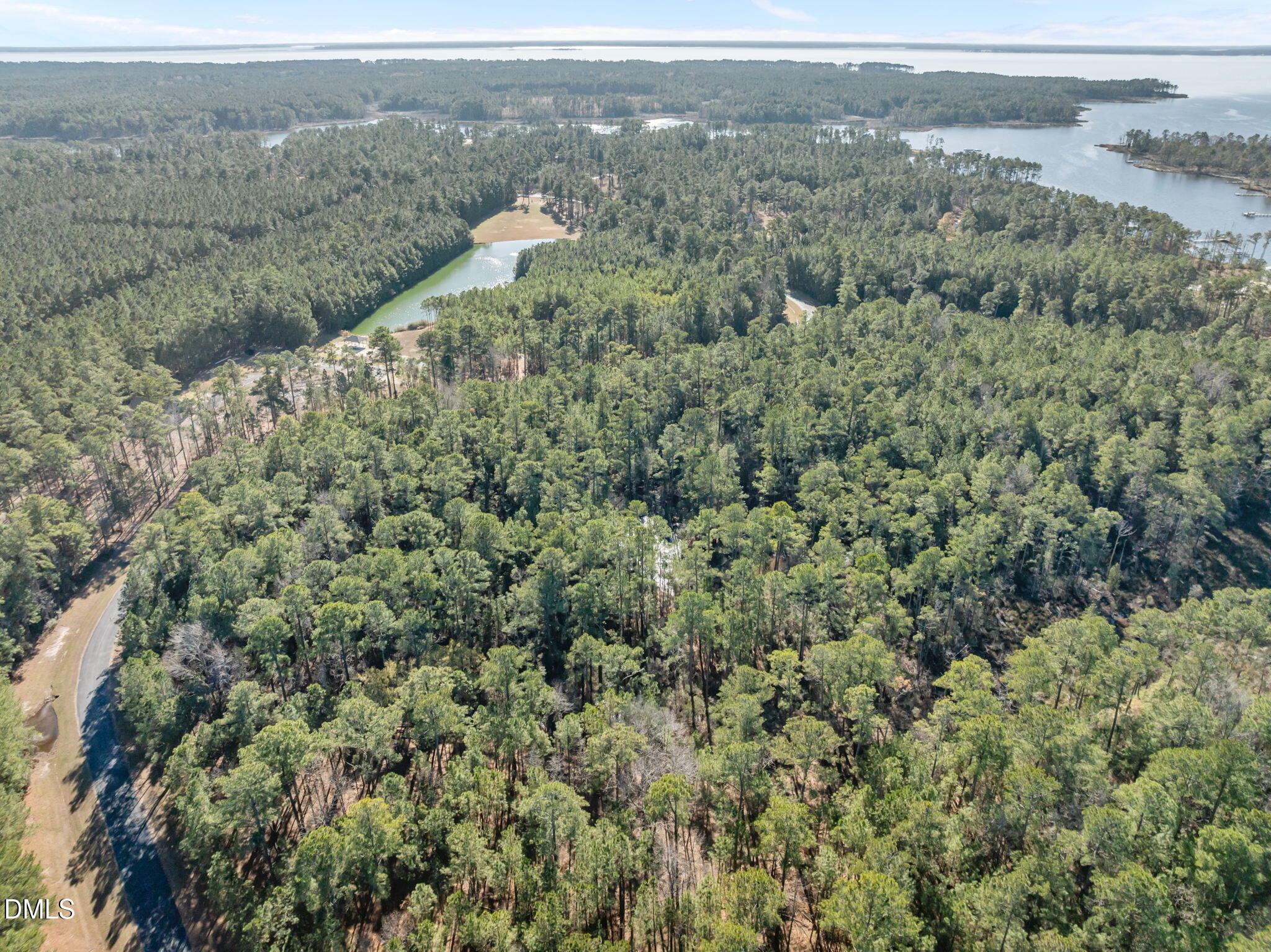 0 Bailey Pointe Road Belhaven, NC 27810 - Photo 6 of 15 an aerial view of mountain with trees around