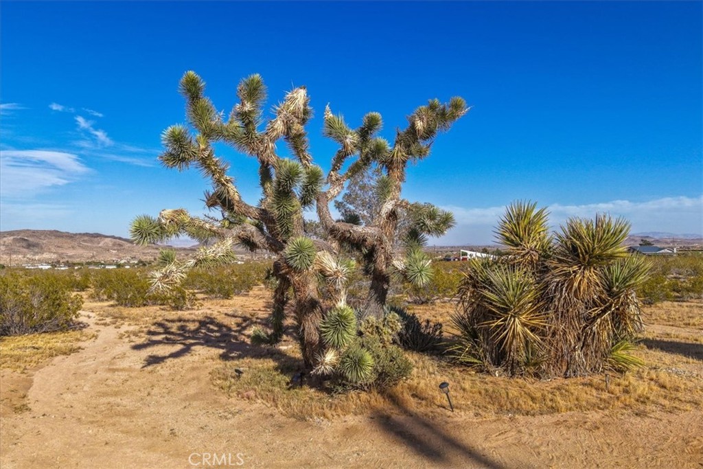 2625 Geronimo Trail Yucca Valley, CA 92285 - Photo 28 of 57