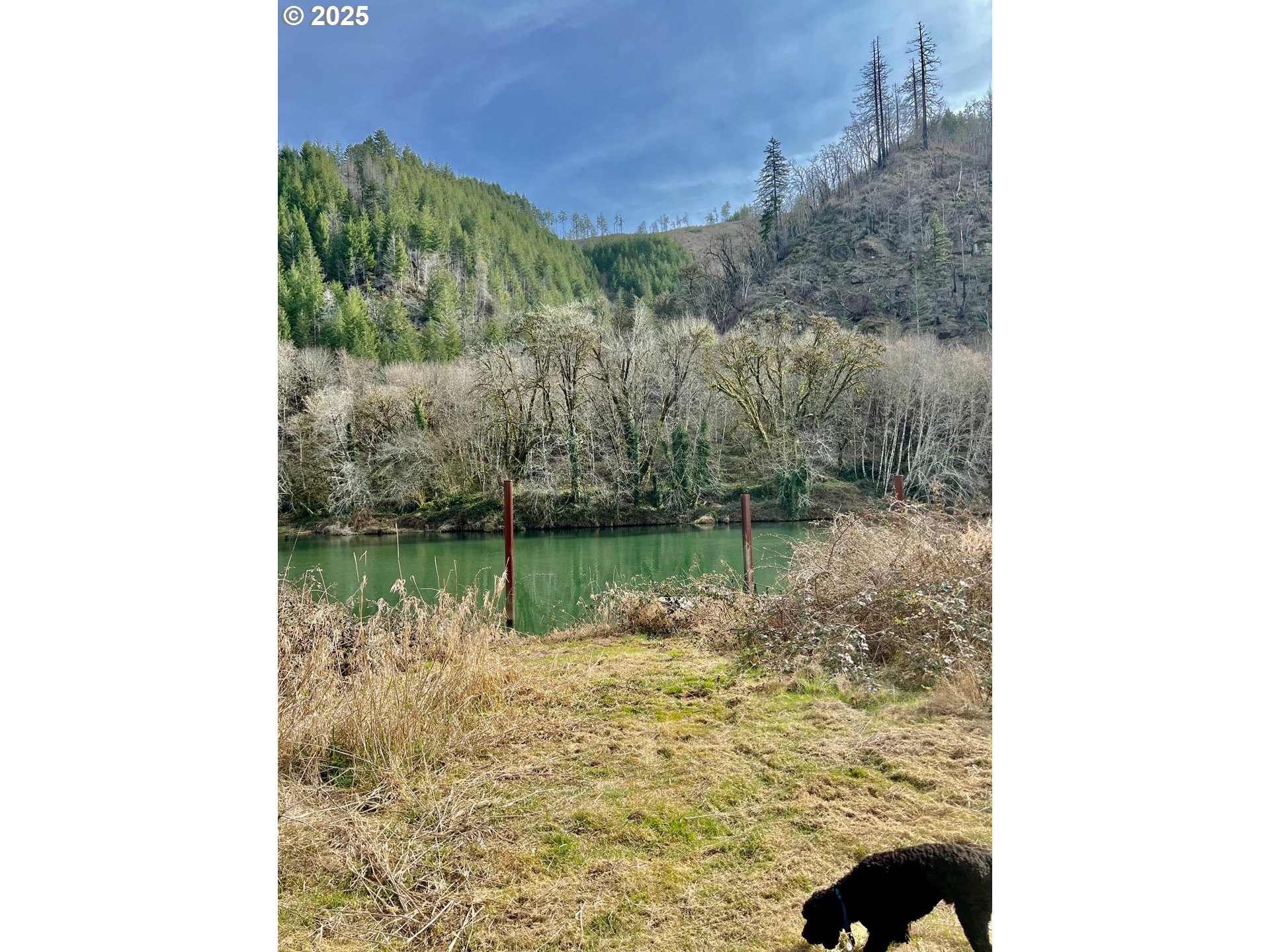 10742 Highway 126 Mapleton, OR 97453 - Photo 17 of 30