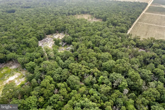 an aerial view of residential houses with outdoor space and trees