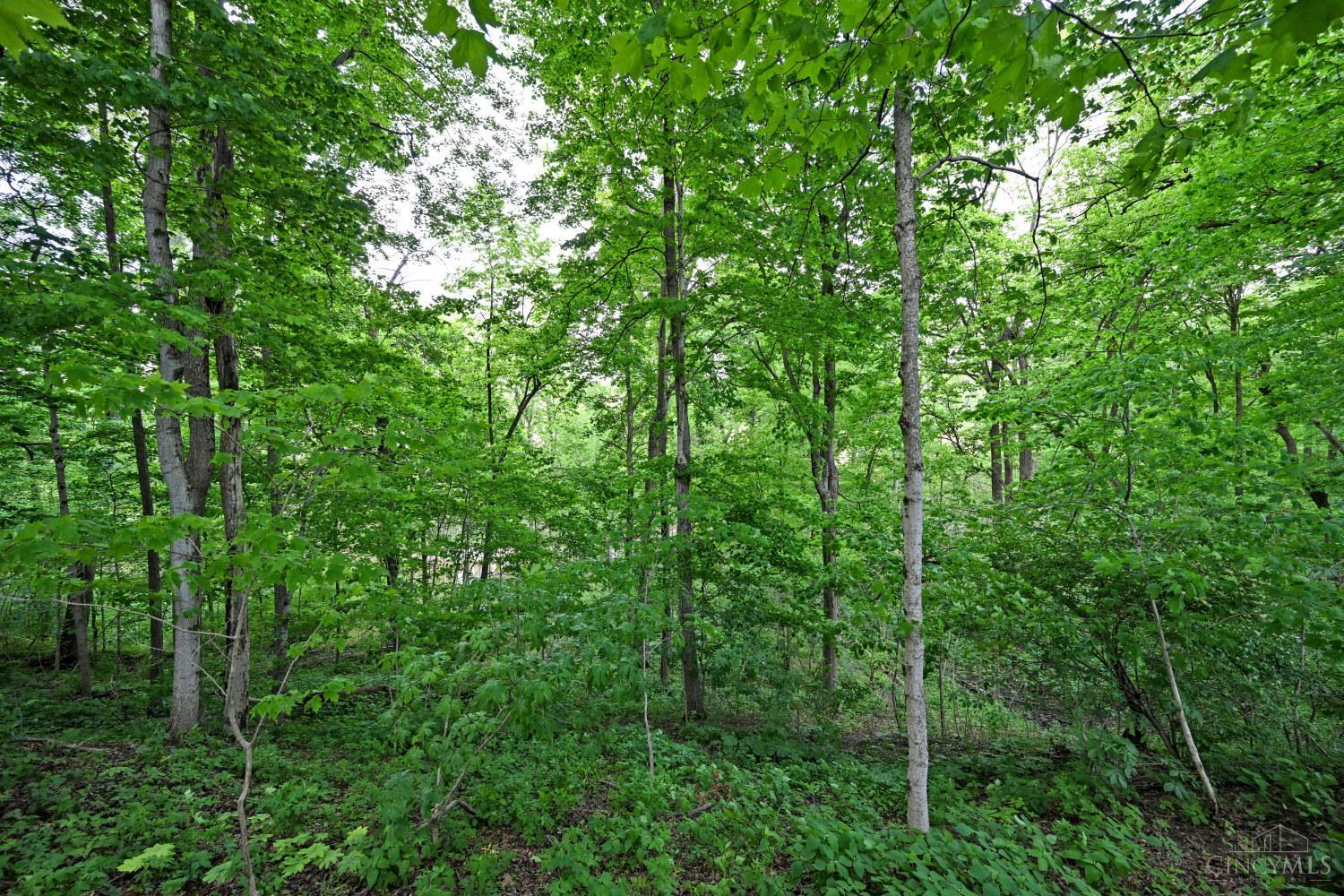 6244 Watt Road Camden, OH 45311 - Photo 35 of 48