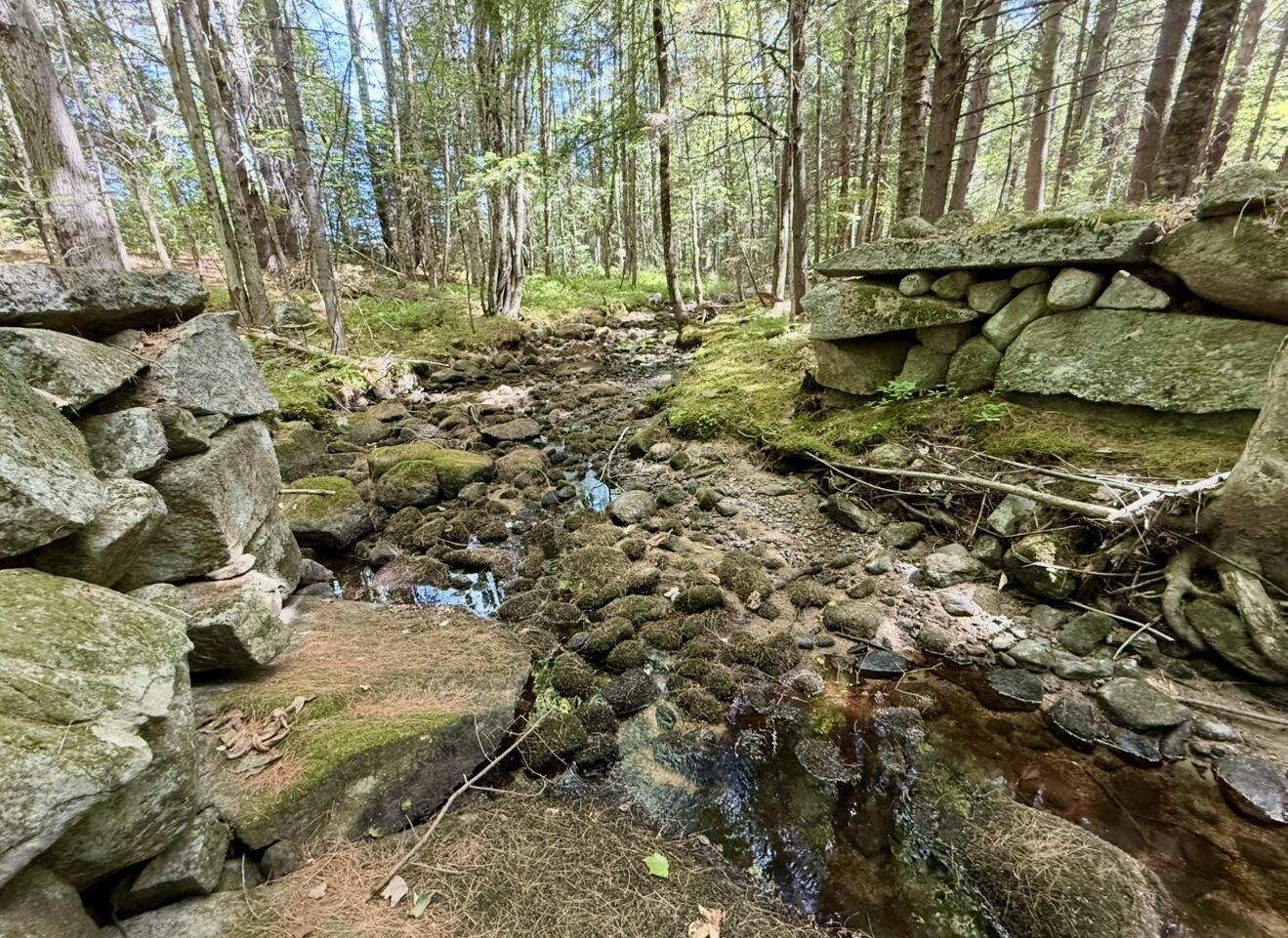 519 Norway Road Harrison, ME 04040 - Photo 58 of 59 IMG_3722