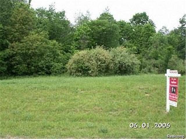 0 Wall Gene Road South Lyon, MI 48178 - Photo 1 of 1