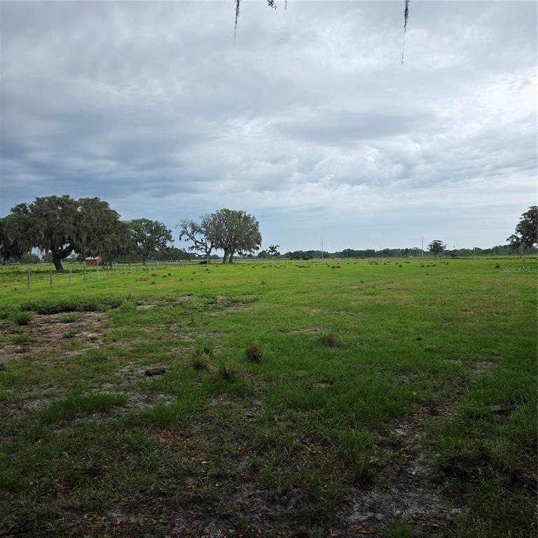 Vernon Dairy Spring Hill Spring Hill, FL 34610 - Photo 1 of 6 a view of a grassy field with trees