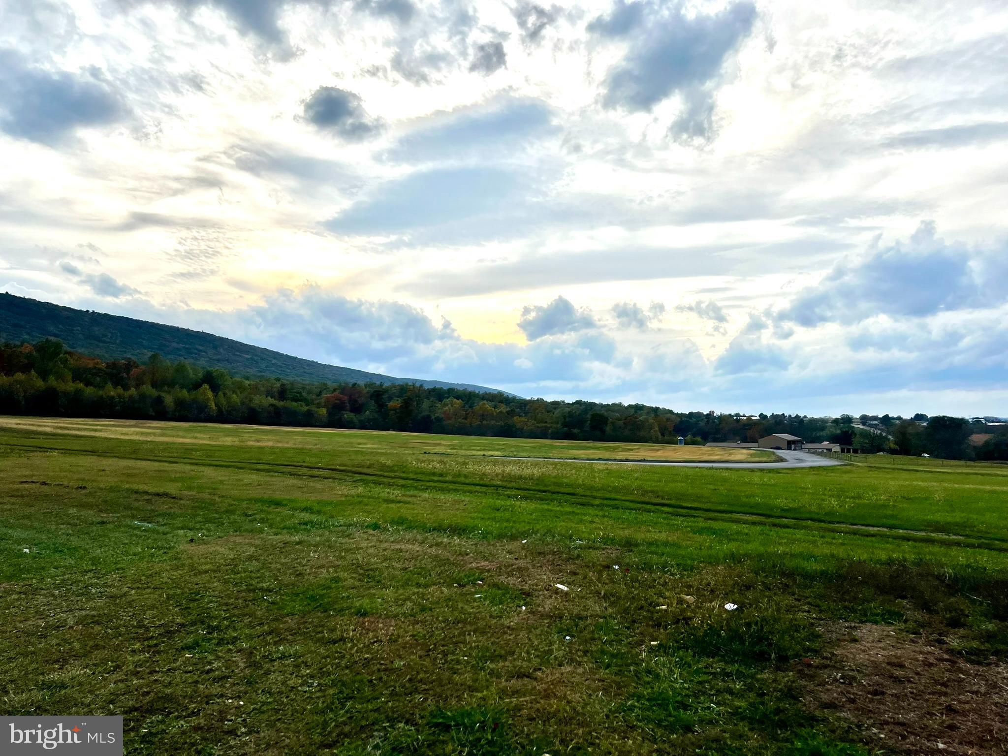 8690 Highway 25 Spring Glen, PA 17978 - Photo 14 of 31 a view of a big yard with lawn chairs and large trees