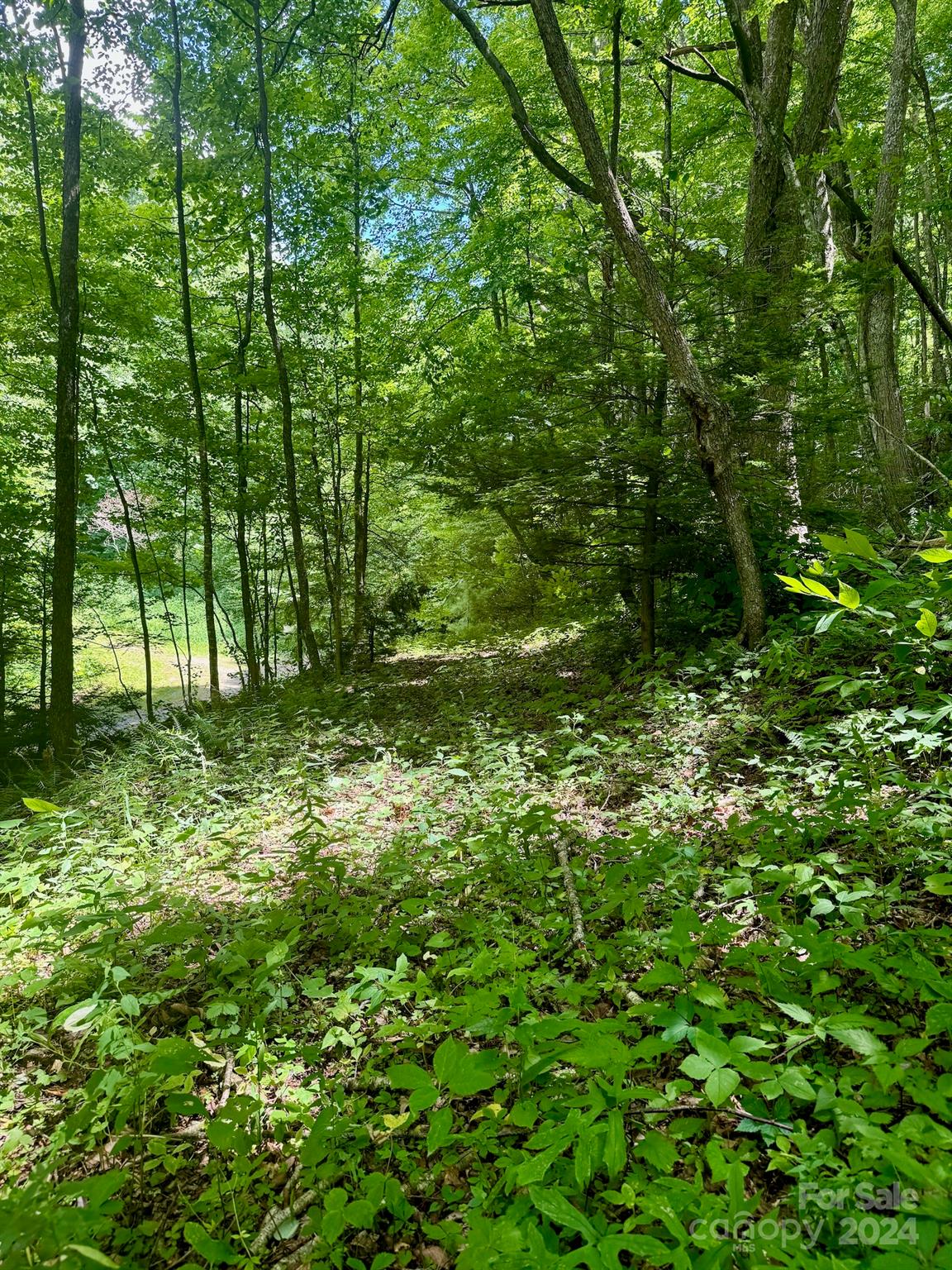 35 Flying Hawk Way Clyde, NC 28721 - Photo 13 of 22 a view of outdoor space and a yard