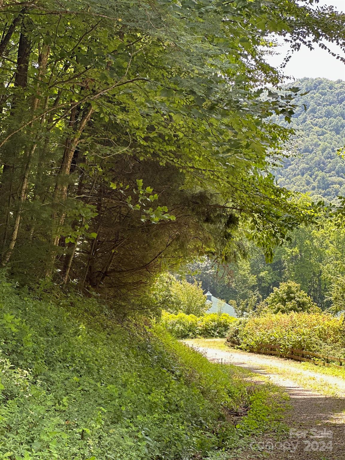 35 Flying Hawk Way Clyde, NC 28721 - Photo 15 of 22 a view of a yard of a building