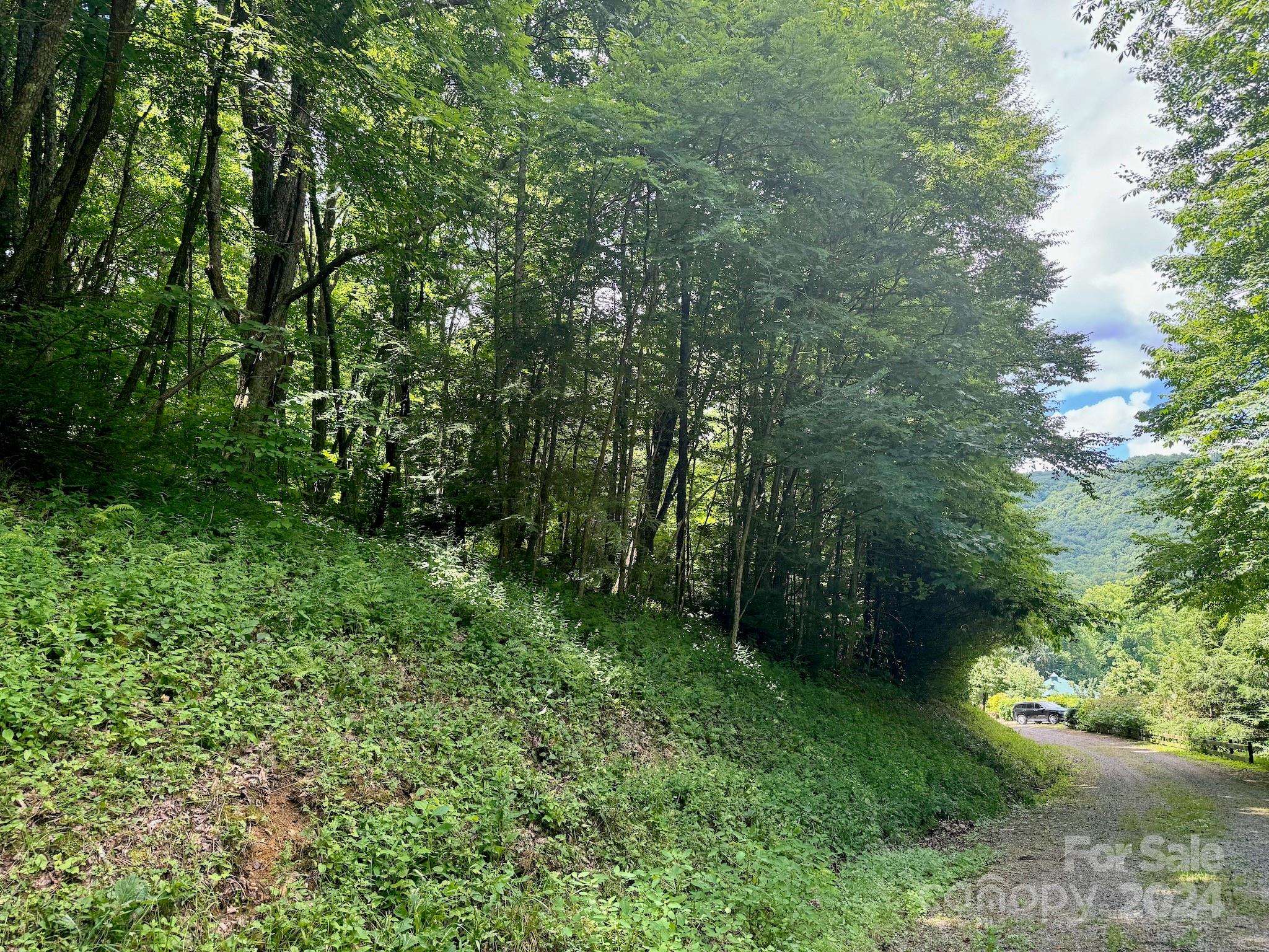 35 Flying Hawk Way Clyde, NC 28721 - Photo 16 of 22 a view of a lush green forest