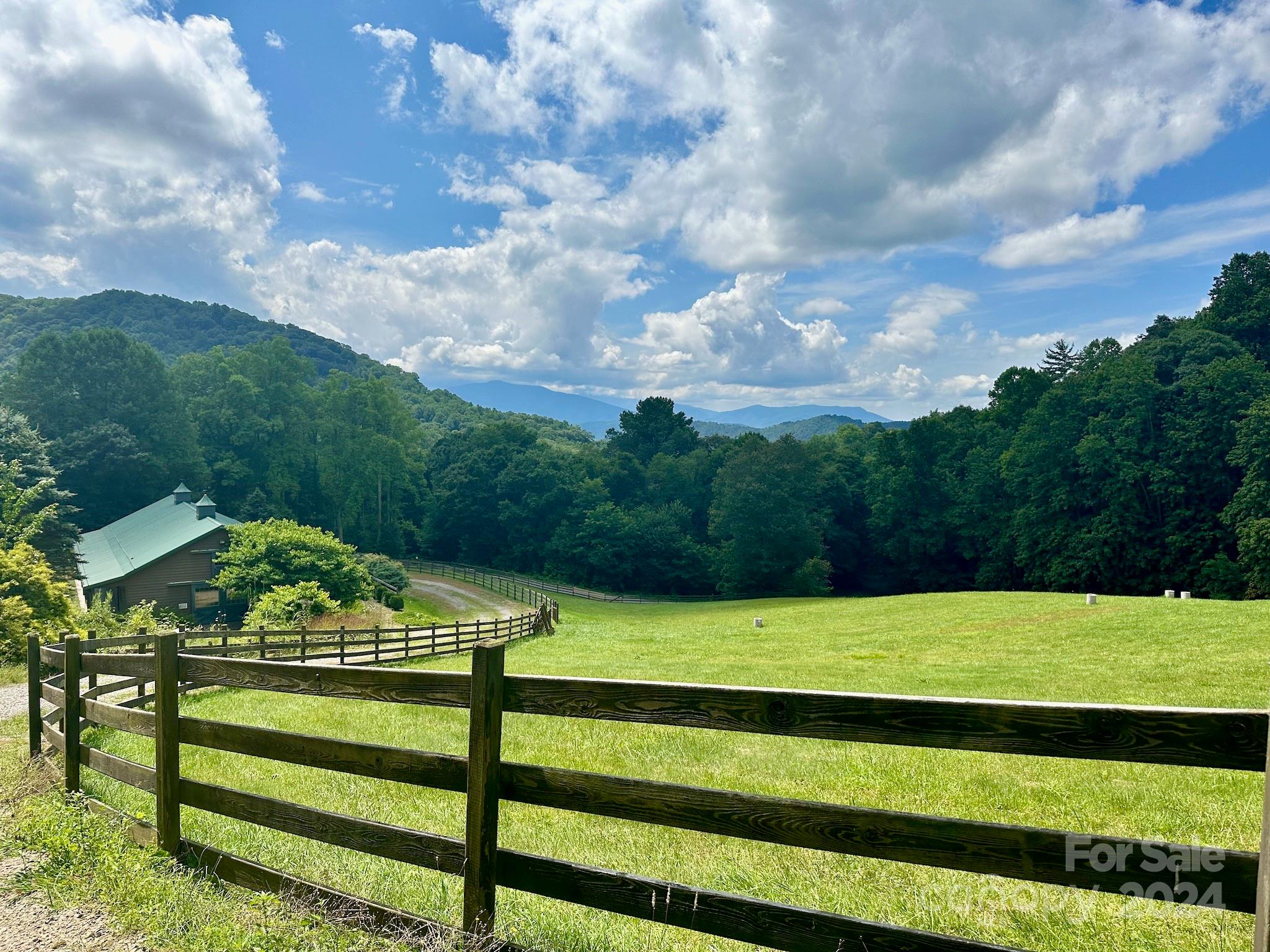 35 Flying Hawk Way Clyde, NC 28721 - Photo 17 of 22 a view of a park with large trees