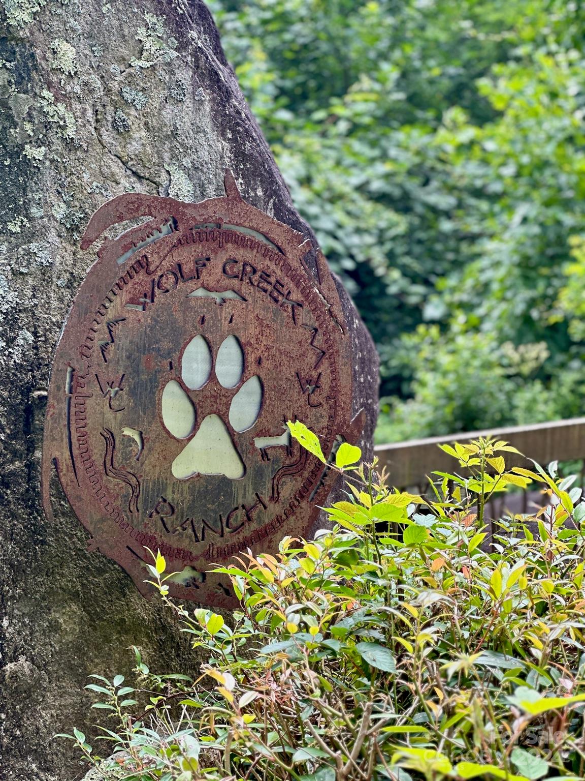 35 Flying Hawk Way Clyde, NC 28721 - Photo 4 of 22 a view of a backyard