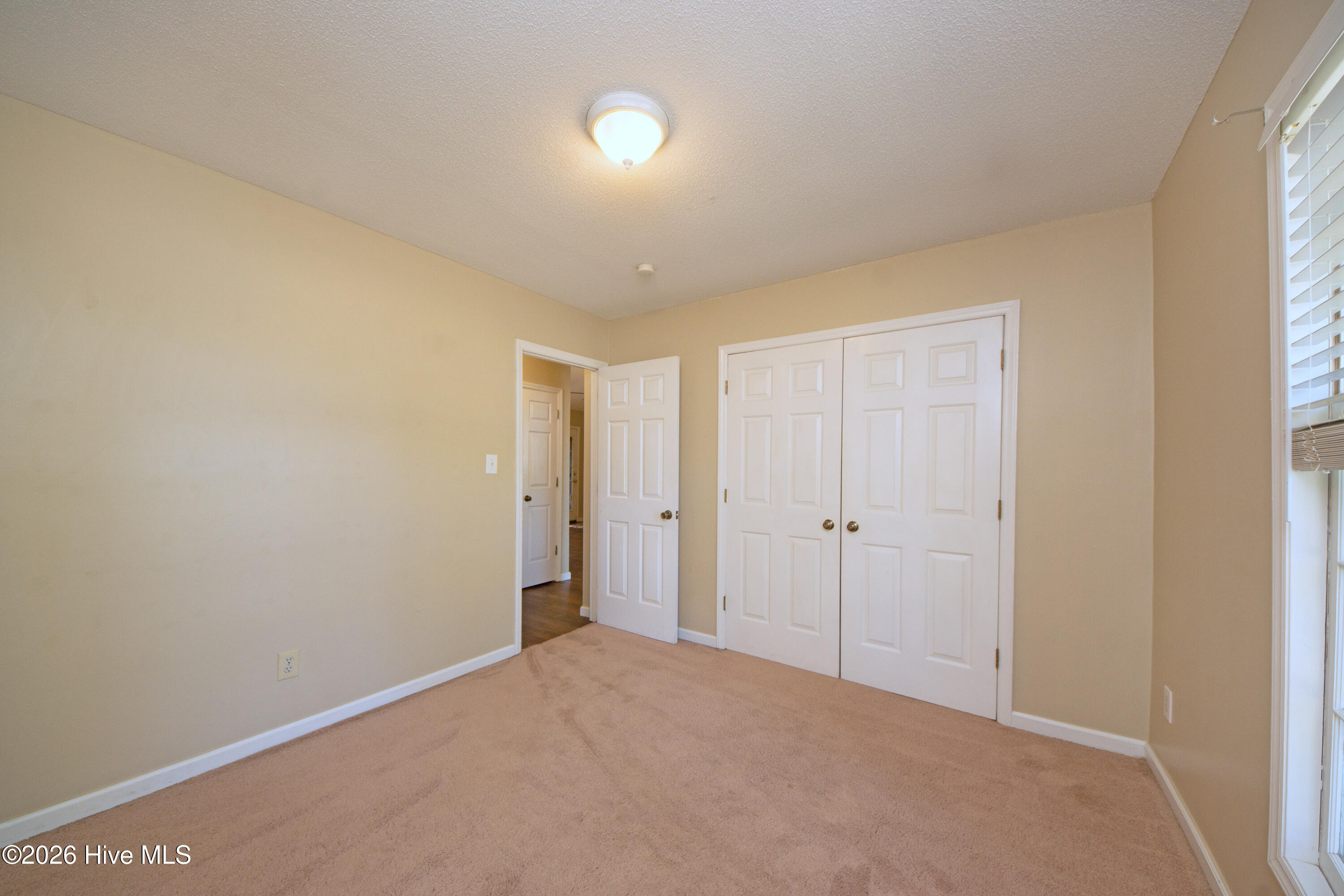 186 Raintree Circle Jacksonville, NC 28540 - Photo 13 of 30 Bedroom 1