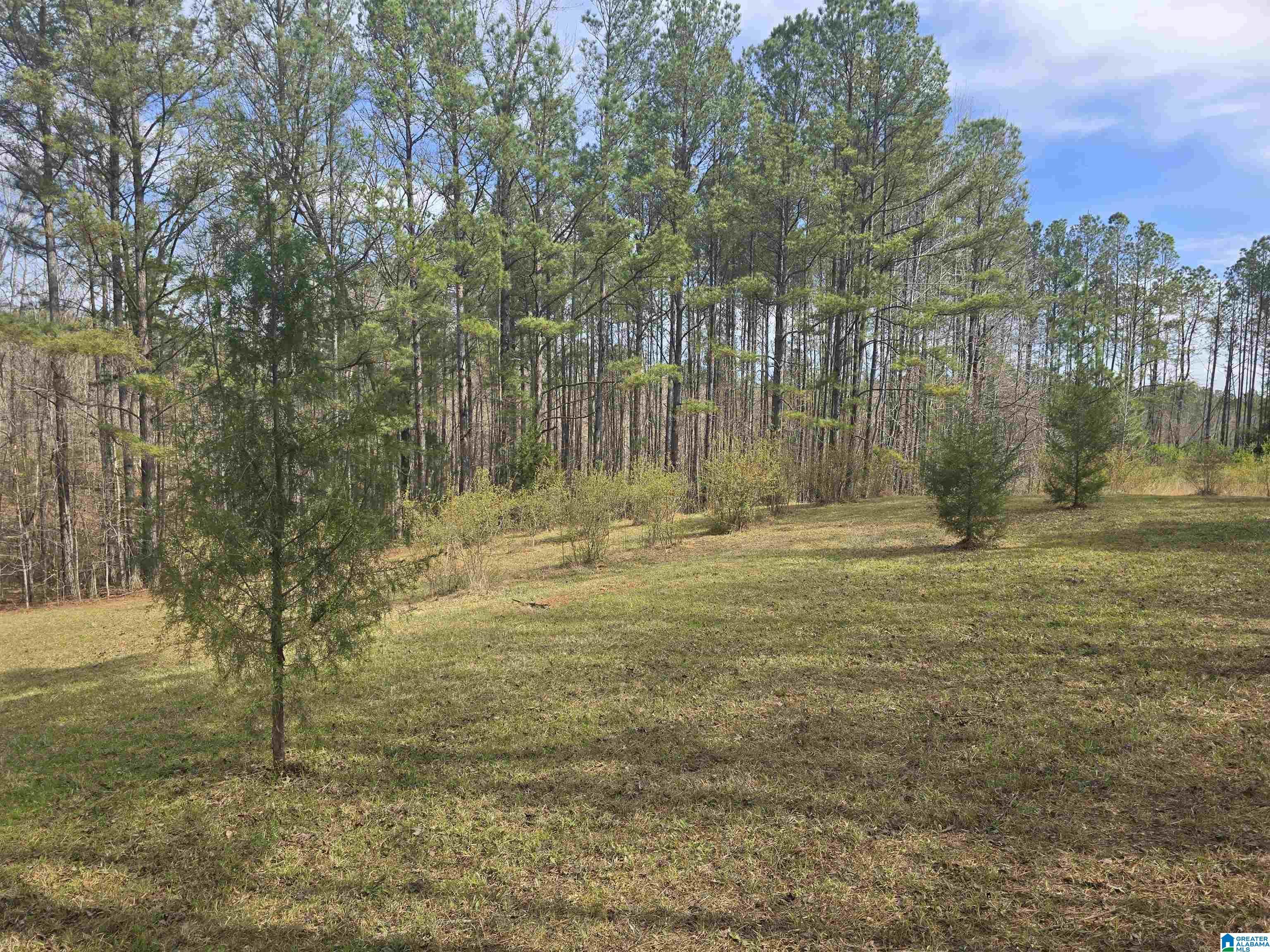 354 Springwell Road Rockford, AL 35136 - Photo 26 of 68