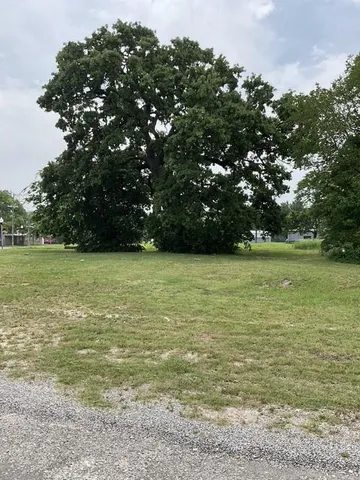 a view of a field with a trees in the background