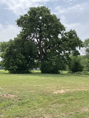 a view of yard with an outdoor space