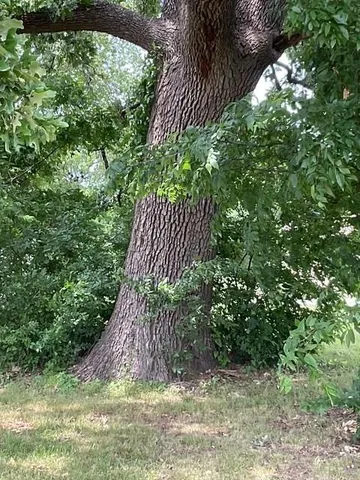 a view of a field with an outdoor space