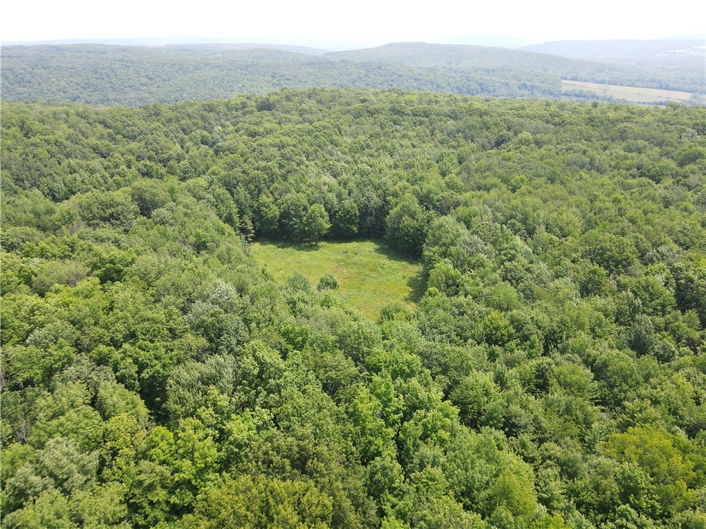 7196 Cloverleaf Road New Hudson, NY 14711 - Photo 41 of 50 Gallery Image 41