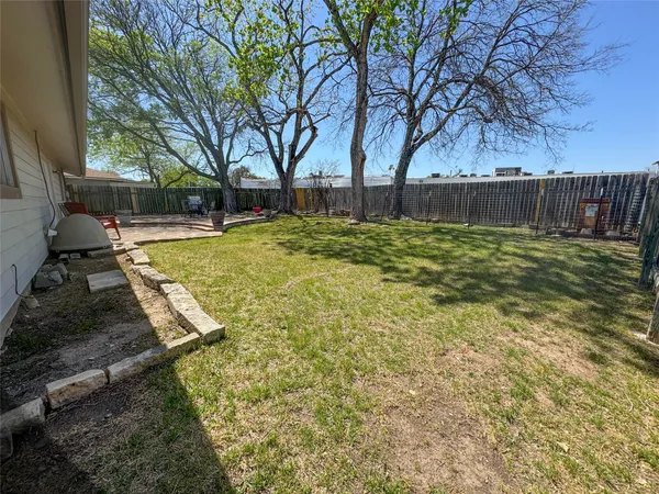 a view of backyard with tree