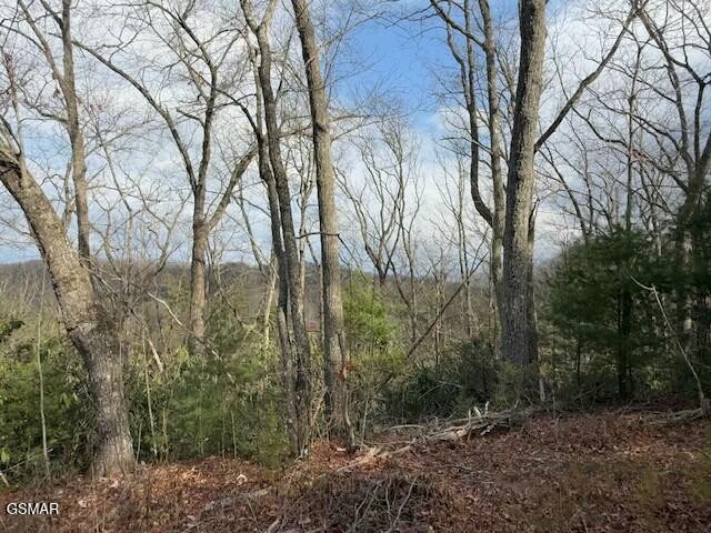 973974 Ridgefield Drive Sevierville, TN 37876 - Photo 12 of 21 Gallery Image 12